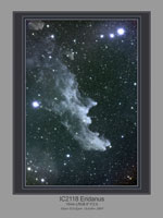 IC2118